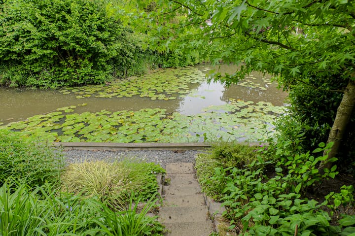 Foto 43 van Verlengde Witmoeren 7