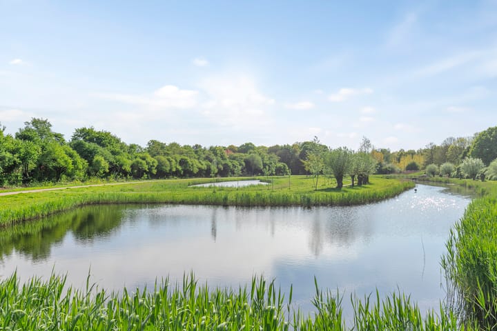 Foto 31 van Geelgorslaan 3