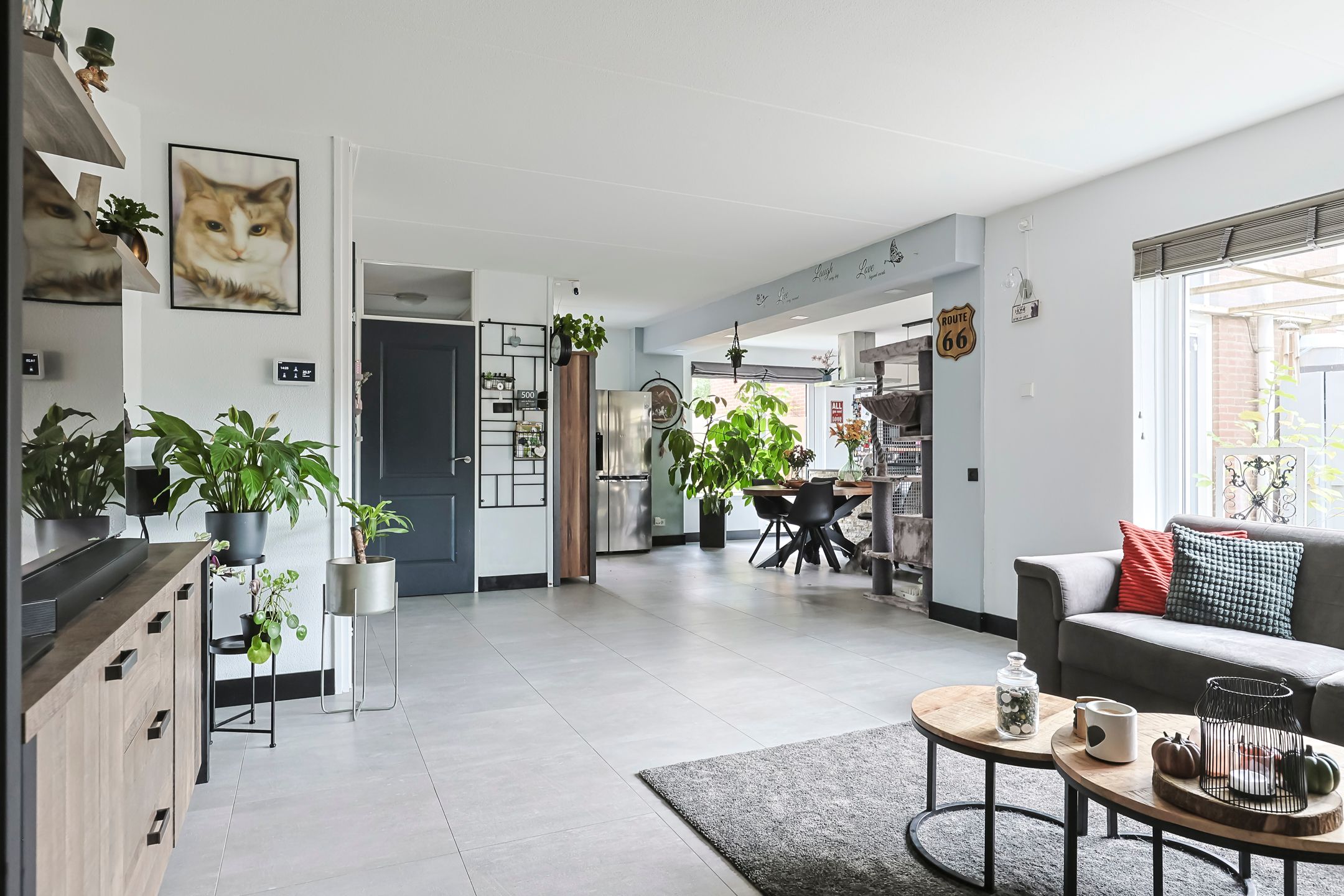 Foto 12 van Cantharel 53