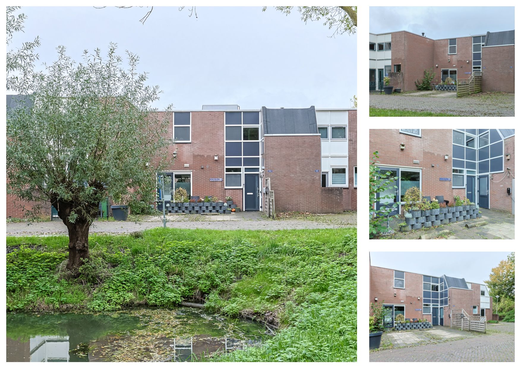 Foto 6 van Cantharel 53