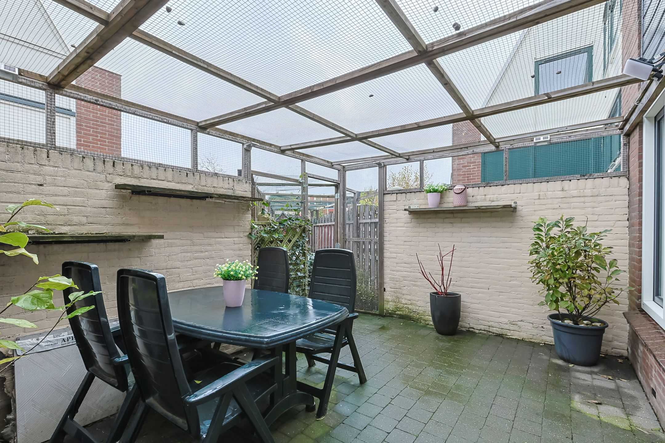 Foto 42 van Cantharel 53