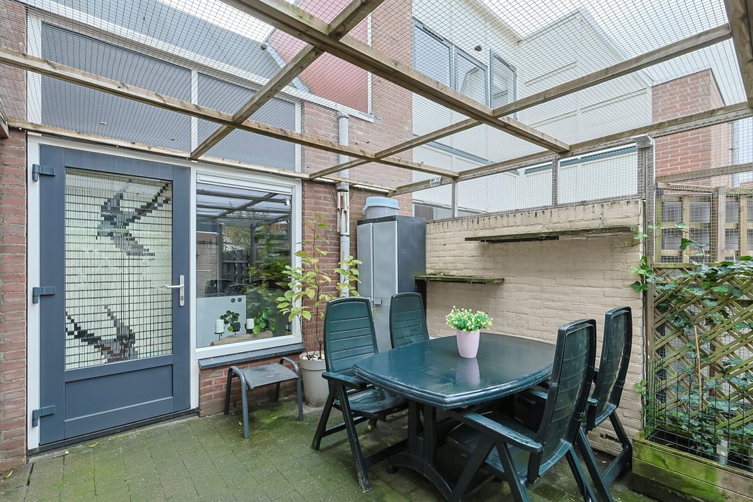 Foto 43 van Cantharel 53