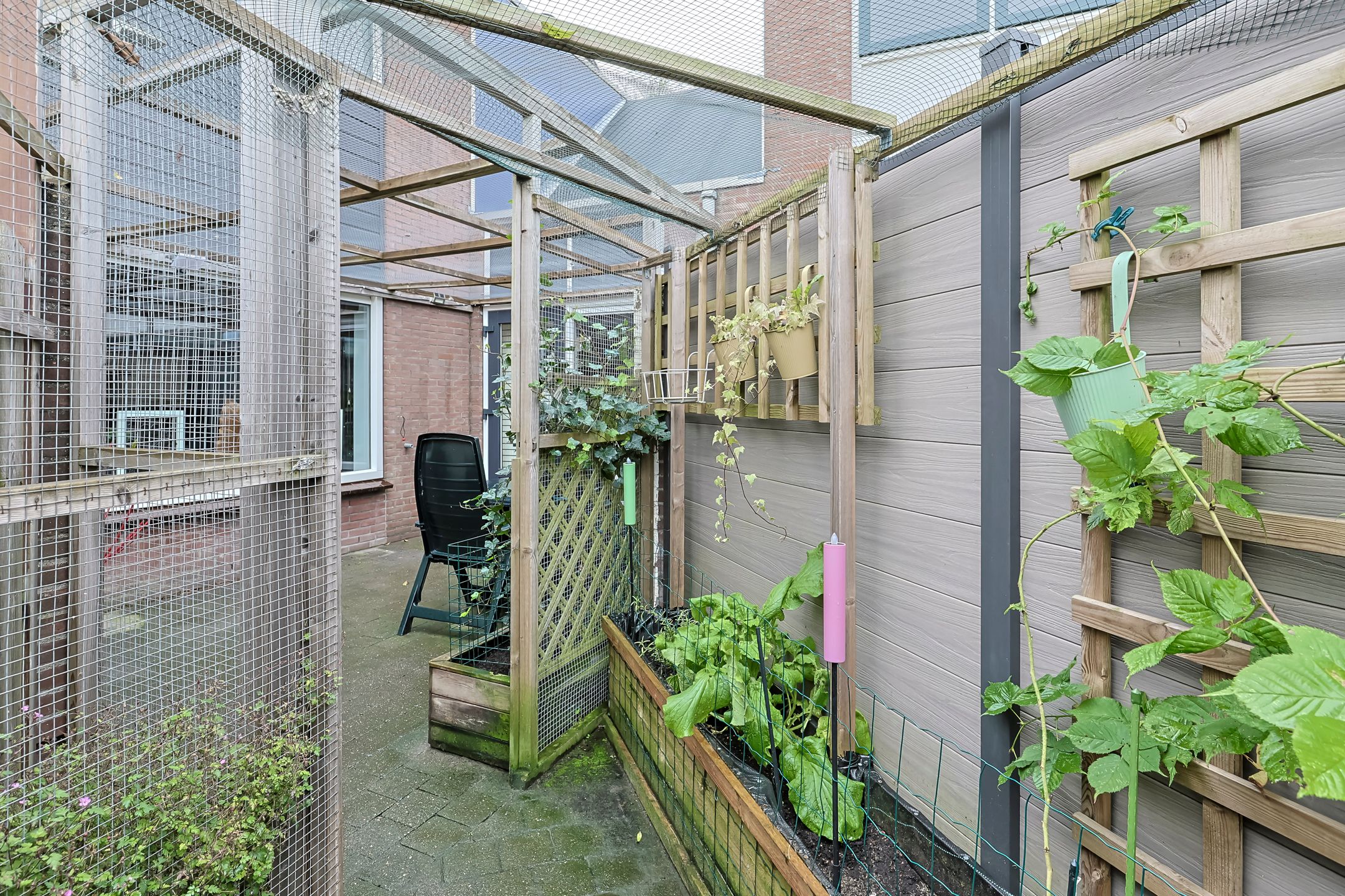 Foto 45 van Cantharel 53