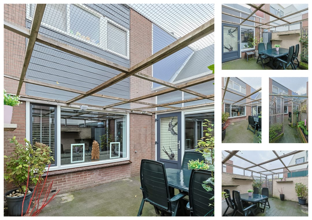 Foto 46 van Cantharel 53