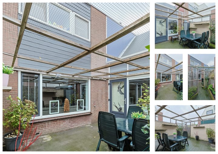 Foto 46 van Cantharel 53