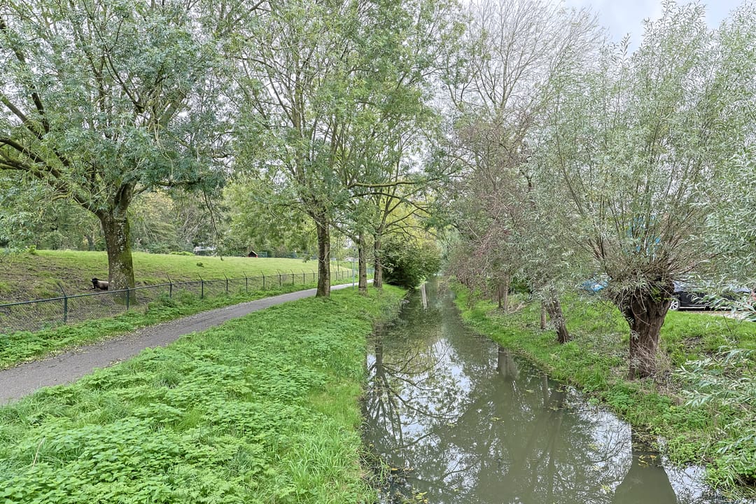 Foto 47 van Cantharel 53