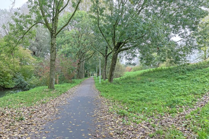 Foto 48 van Cantharel 53