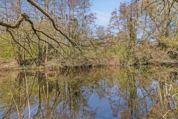 Foto 29 van Schiermonnikoog 1