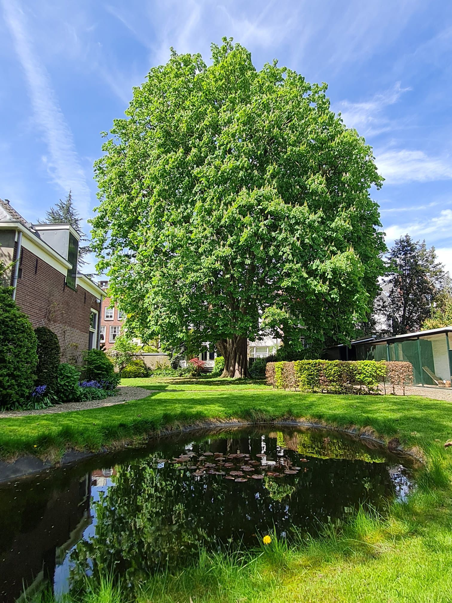 Photo 36 of Nieuwegracht 20-P