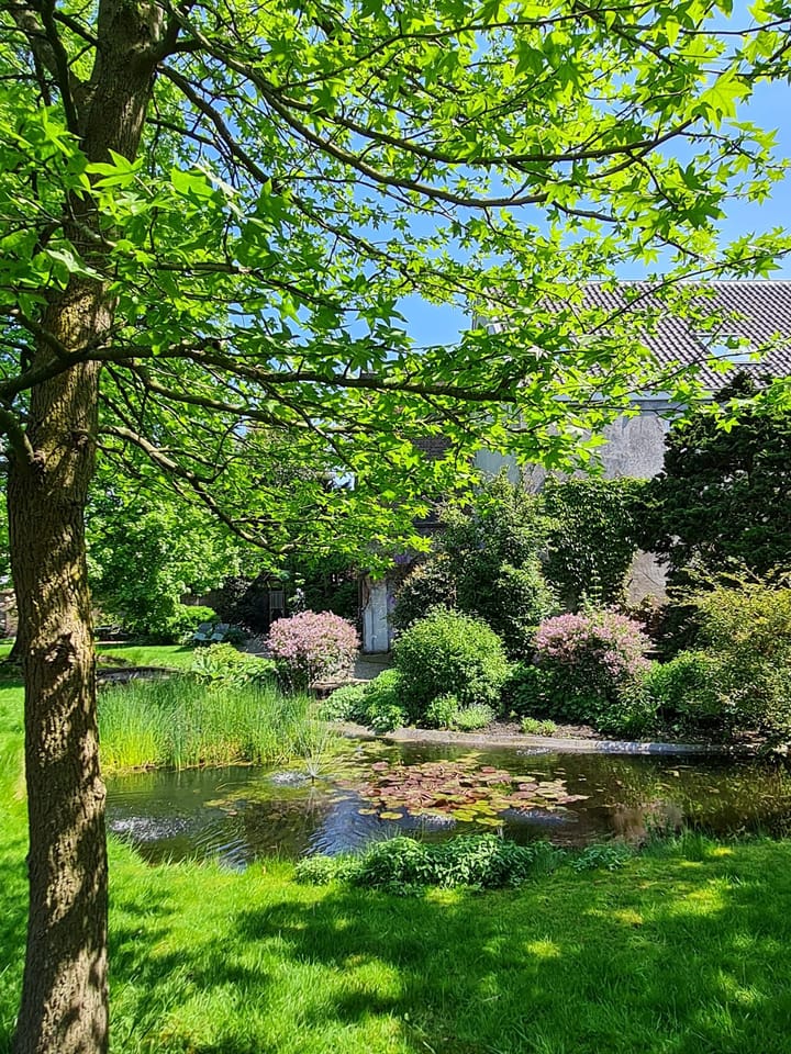 Foto 37 van Nieuwegracht 20-P