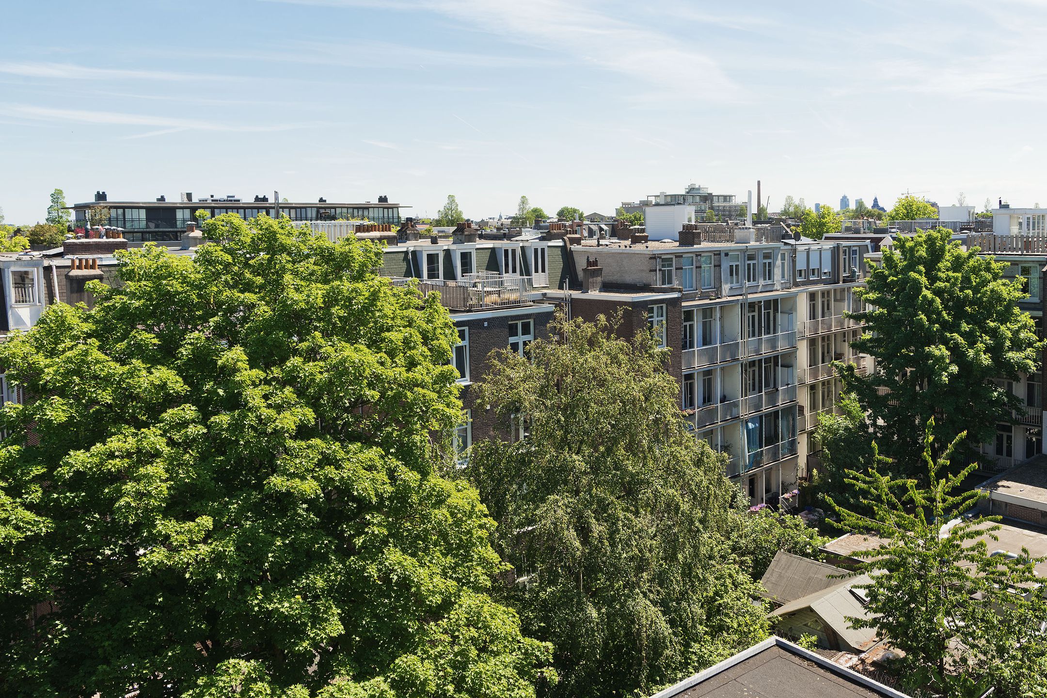 Foto 21 van Elisabeth Wolffstraat 37-3