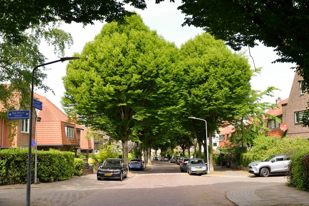 Foto 2 van Van Oldenbarneveltlaan 50