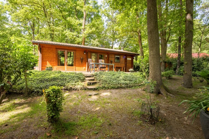 Foto 2 van Wittebergweg 18-H16