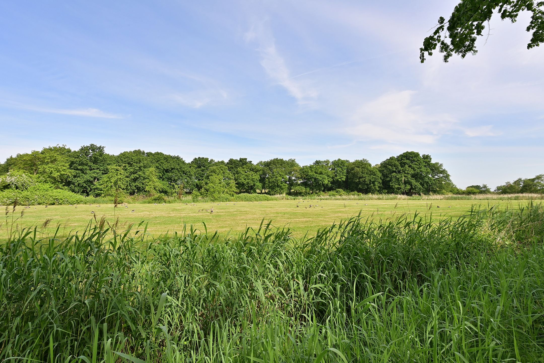 Foto 15 van Huizerstraatweg 19