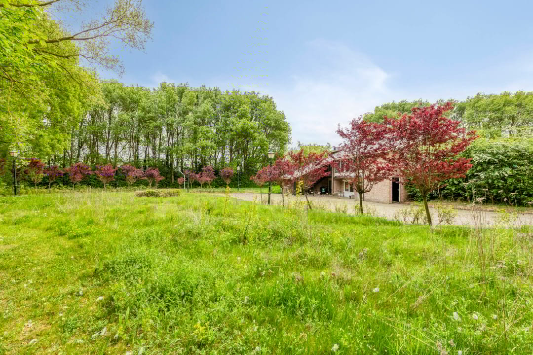 Foto 52 van Prelaatweg 6