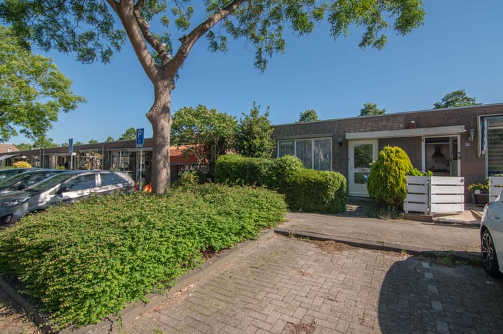 Foto 1 van Bermudablauw 24