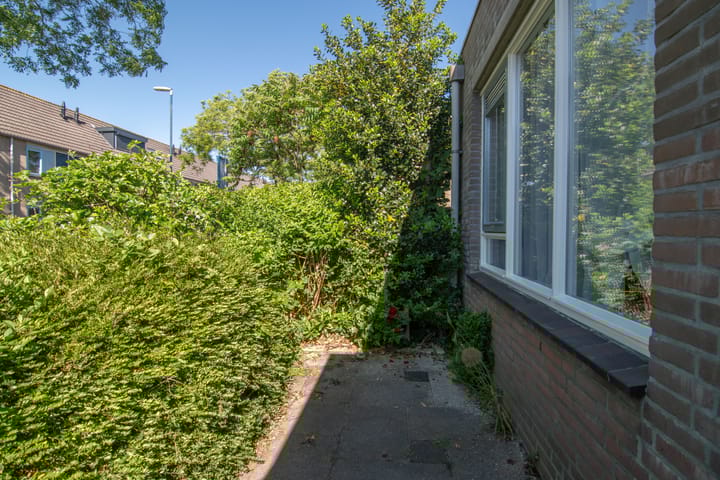 Foto 22 van Bermudablauw 24