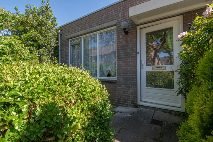 Foto 23 van Bermudablauw 24