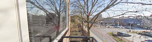 foto6