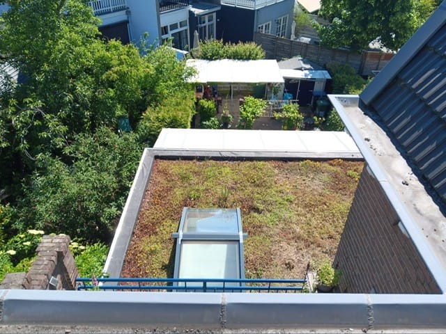 Foto 49 van Raapopseweg 50