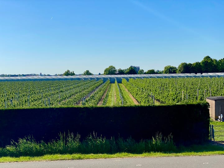 Foto 22 van Angerensestraat 30