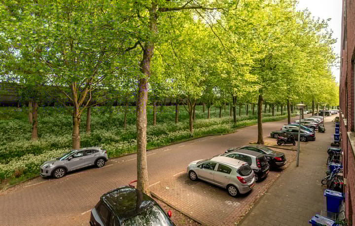 Photo 31 of Lange Vonder 32