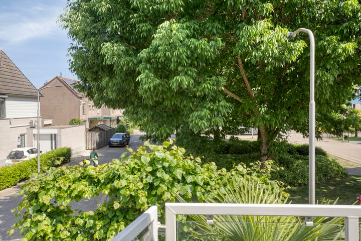 Foto 23 van Leuvensbroek 3329