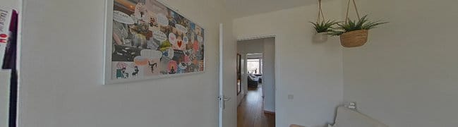 foto8