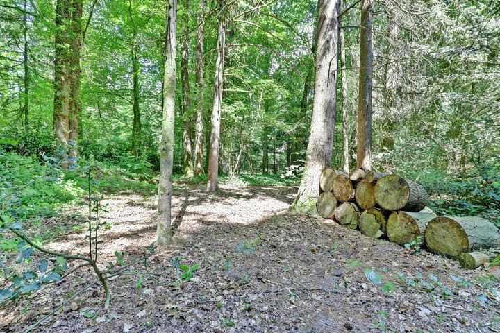 Foto 40 van Weikamperweg 97