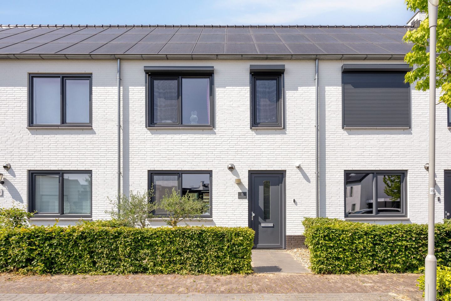 Foto 1 van De Veilingmeester 8