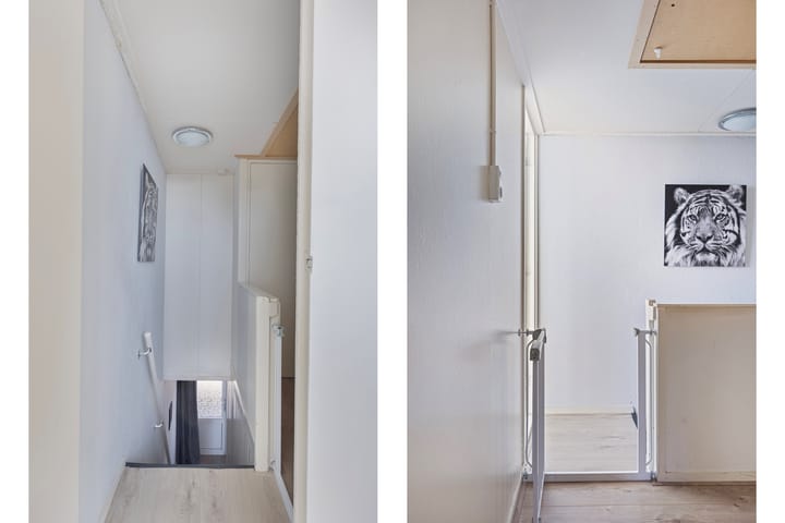 Photo 16 of Ter Apelkanaal Oost 87