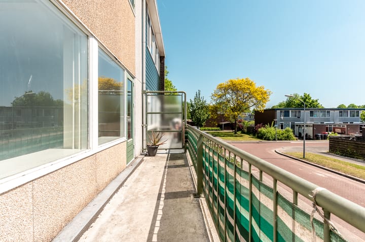 Foto 11 van Fjord 134