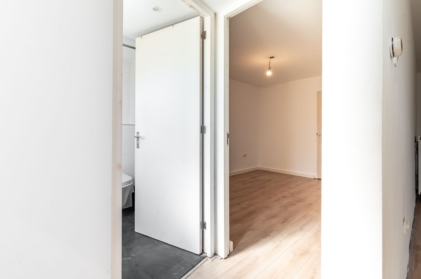 Foto 40 van Fjord 134