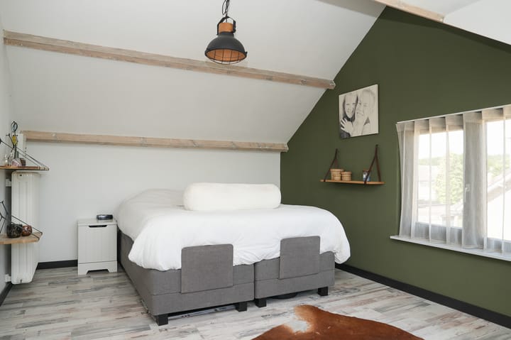 Foto 25 van Albert Botslaan 17