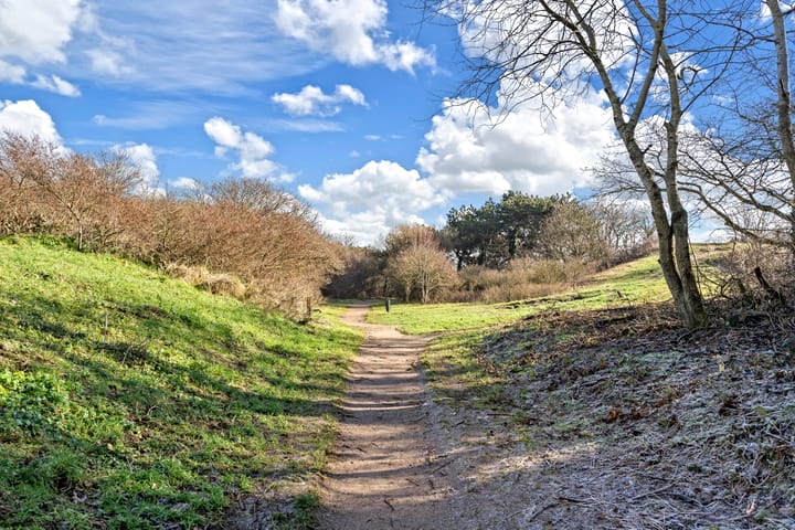 Foto 34 van Tesselseplein 11