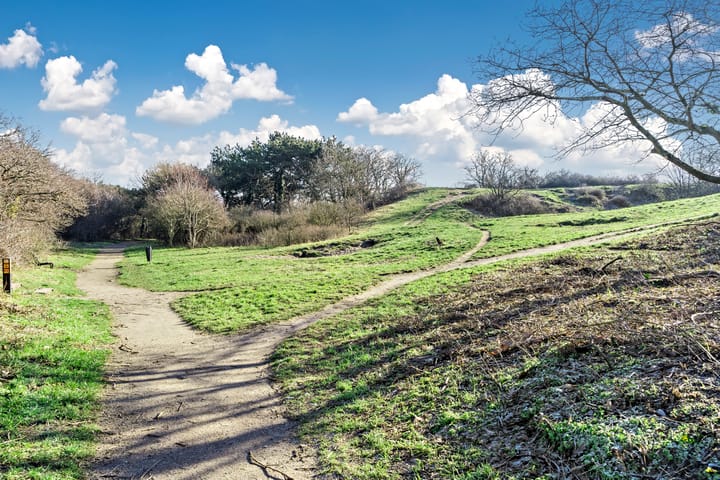 Foto 35 van Tesselseplein 11