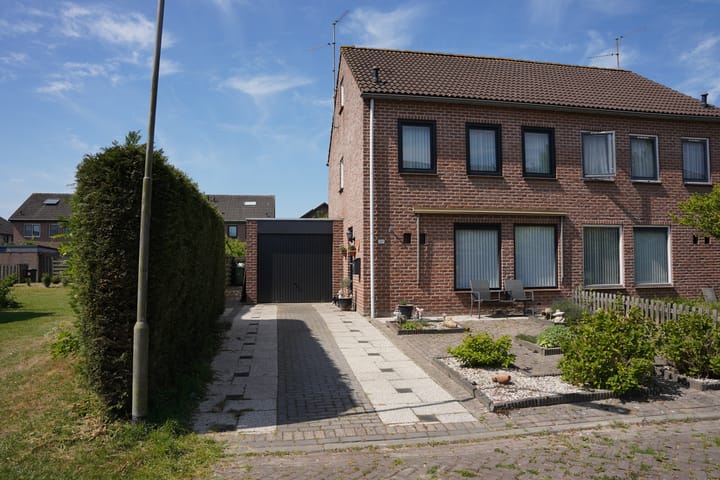 Grote Beer 34-D main image