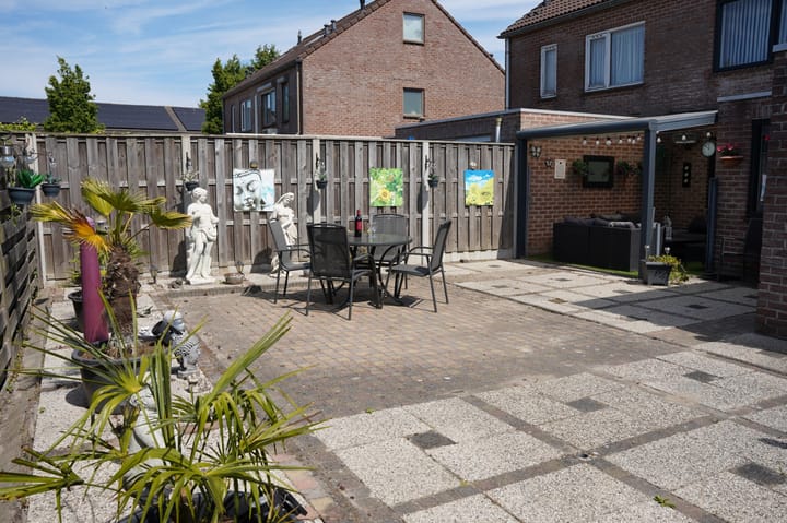 Foto 34 van Grote Beer 34-D