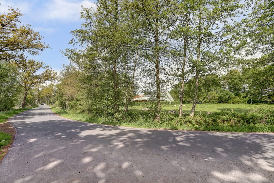 Foto 47 van Spekloane 54