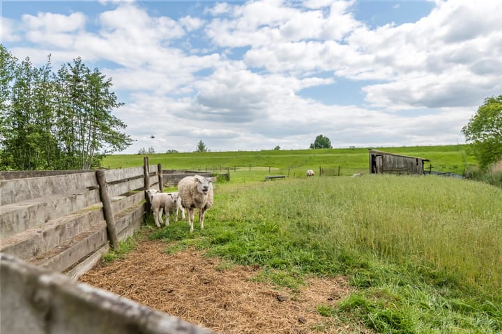 Foto 4 van Tiendweg 19-A