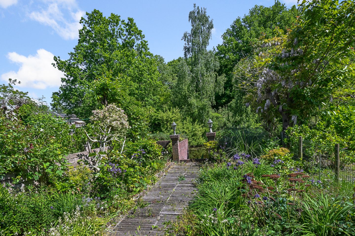 Photo 34 of Drostendiep 21