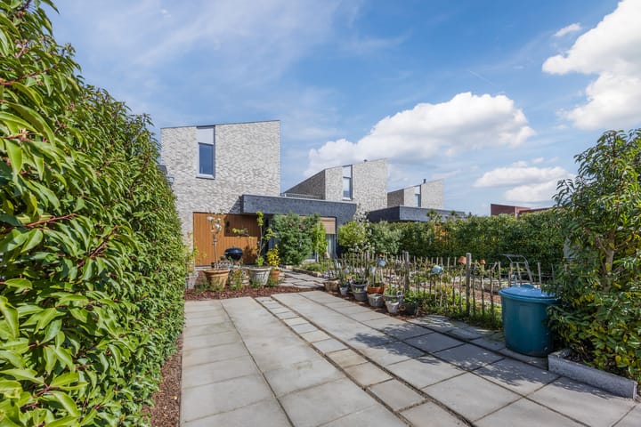 Foto 5 van Vlasven 6