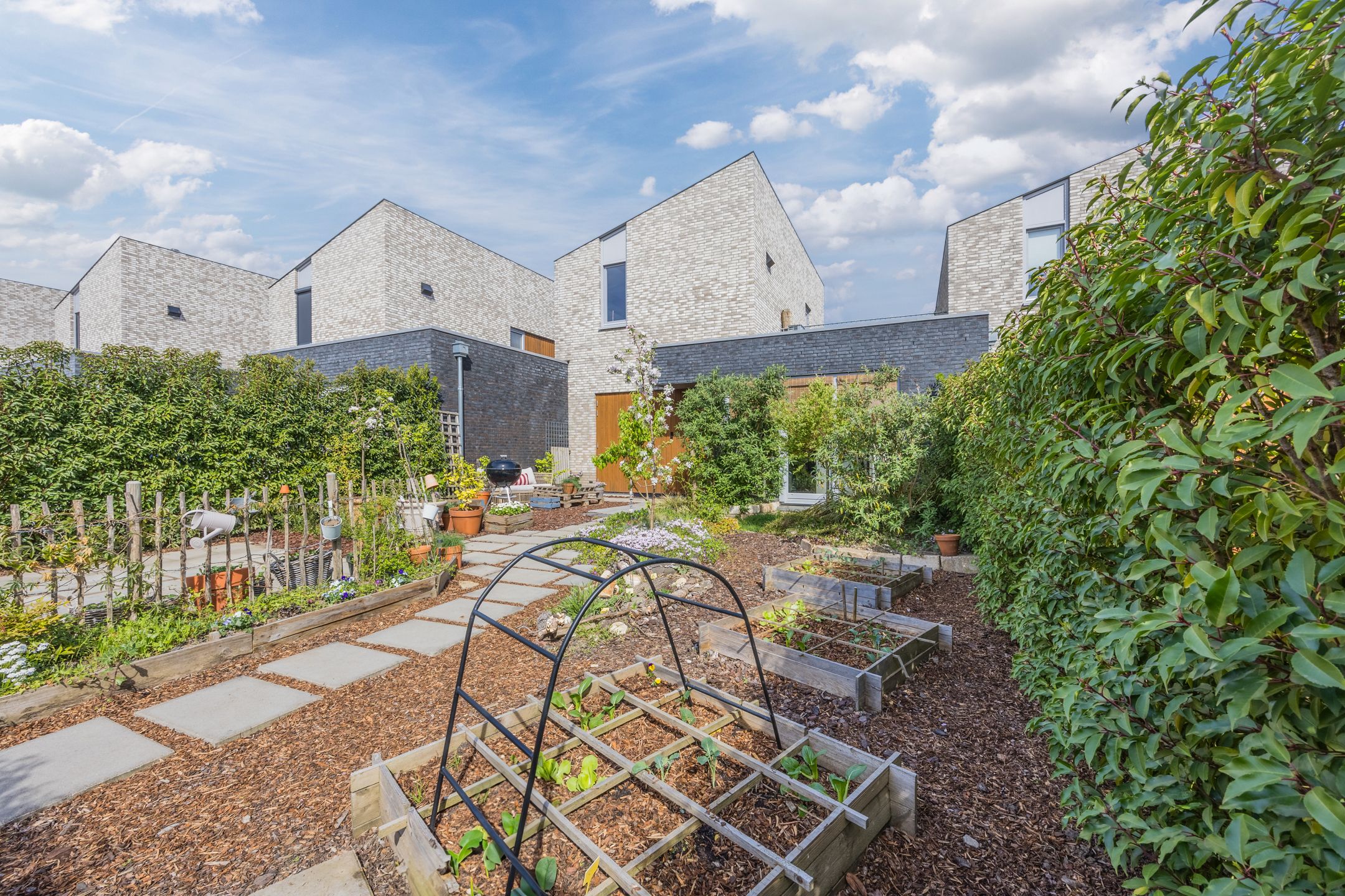 Foto 6 van Vlasven 6