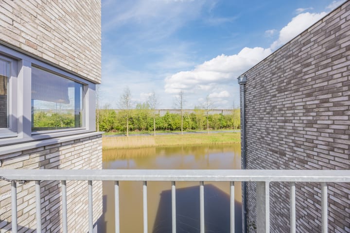 Foto 40 van Vlasven 6