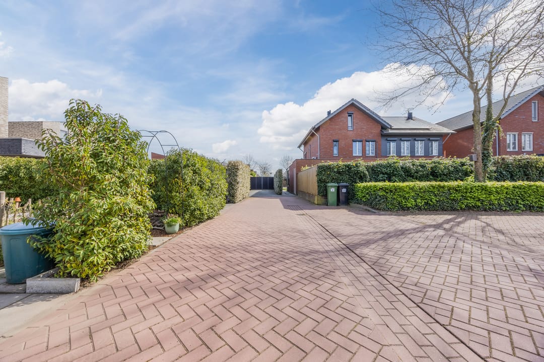 Foto 41 van Vlasven 6