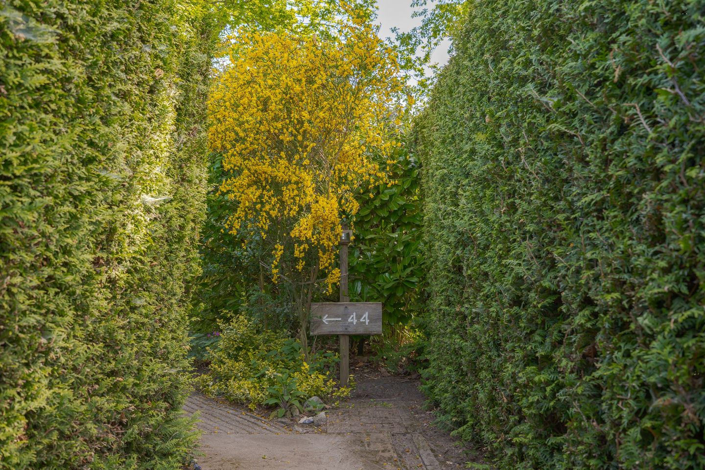 Foto 4 van Het Zwiggelterveld 44