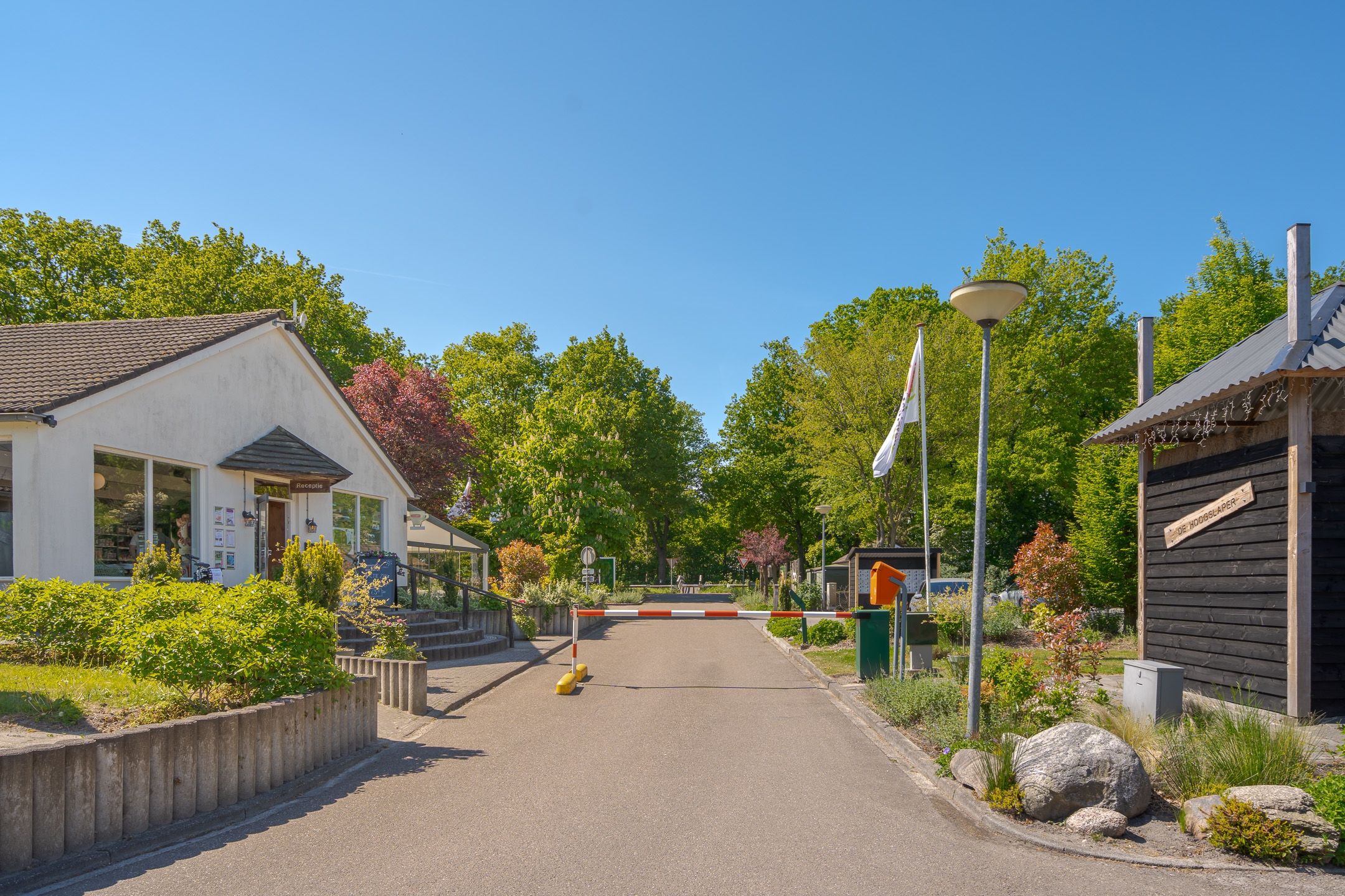 Foto 39 van Het Zwiggelterveld 44