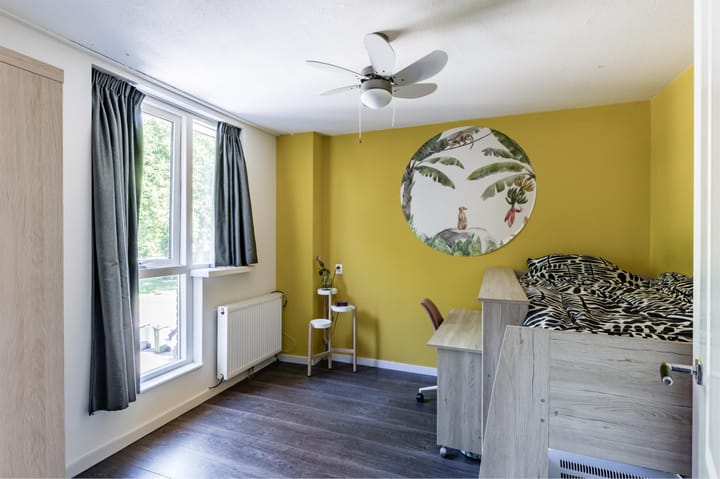 Foto 12 van Merino 4