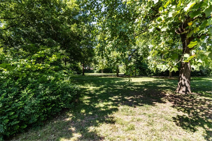 Foto 28 van Merino 4