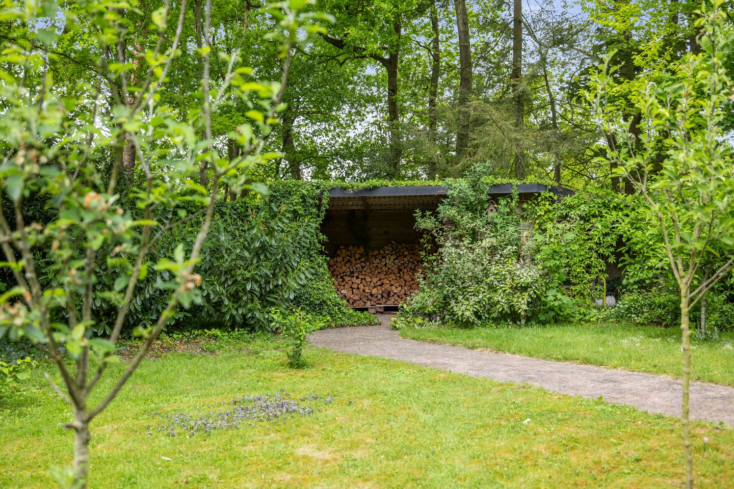 Foto 34 van Schoolbosdwarsweg 9